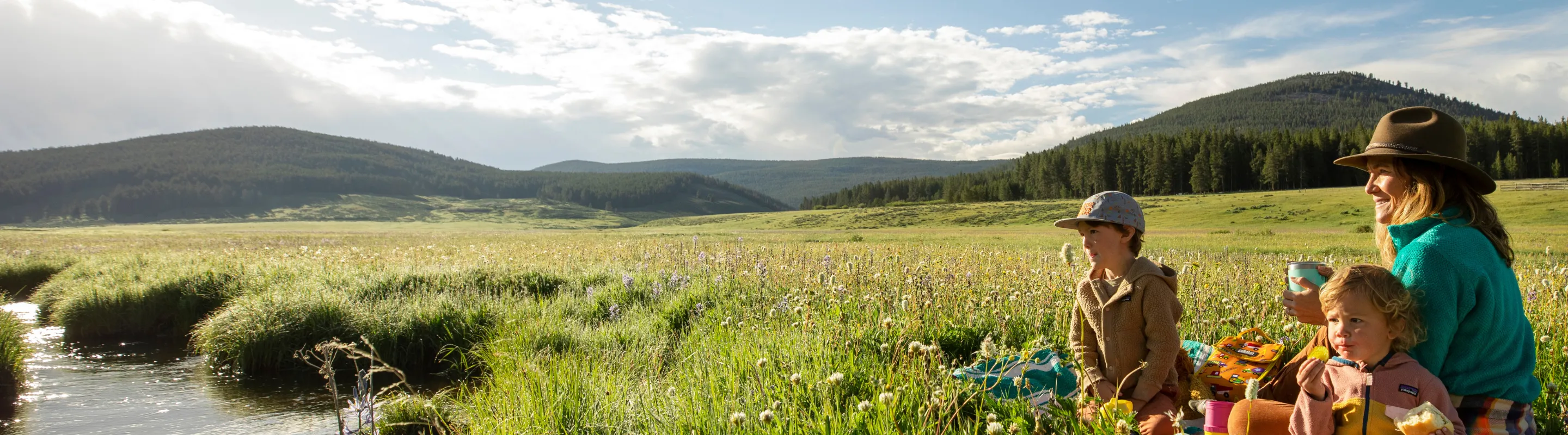 a mother and her two kids sit on a blanket beside a stream in a grassy meadow, insured with domestic travel insurance